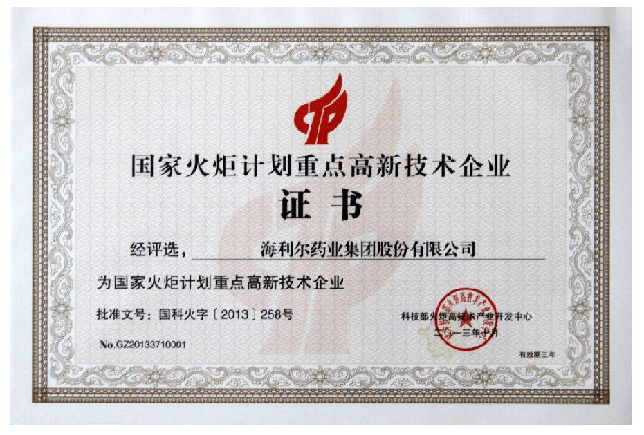 國家火炬計(jì)劃重點(diǎn)高新技術(shù)企業(yè).png