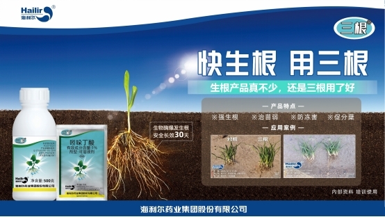 告別粗暴 轉(zhuǎn)向協(xié)調(diào)——海利爾重新定義生根技術(shù)