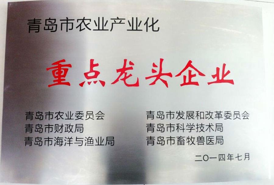 海利爾藥業(yè)集團(tuán)榮獲 “青島市農(nóng)業(yè)產(chǎn)業(yè)化重點(diǎn)龍頭企業(yè)”榮譽(yù)稱號