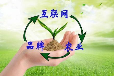 “互聯(lián)網(wǎng)+農(nóng)業(yè)+品牌”等于什么？