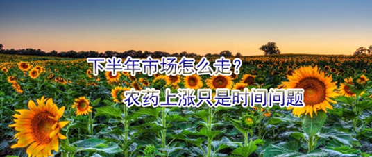 下半年市場怎么走？農(nóng)藥上漲只是時間問題
