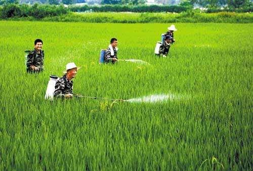 農(nóng)資市場魚龍混雜，抗性真的有宣傳的那么嚴重嗎？