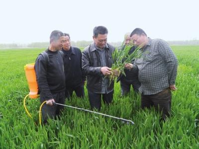 如何防治土傳病蟲(chóng)害