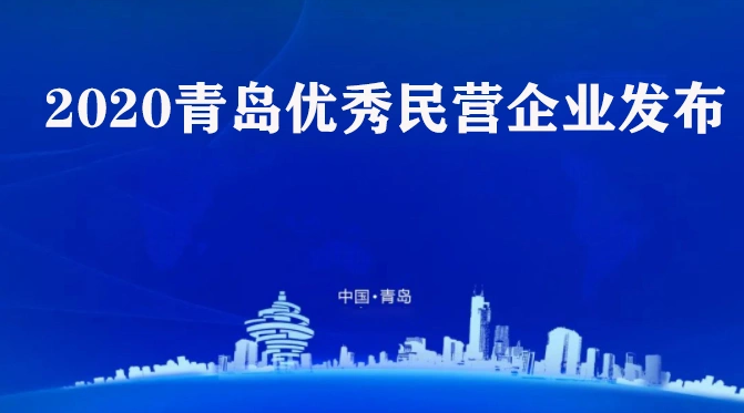 喜訊！海利爾藥業(yè)集團(tuán)榮獲2020青島優(yōu)秀民營企業(yè)