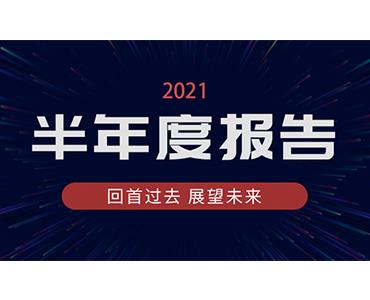 海利爾藥業(yè)集團(tuán)2021年半年度報告