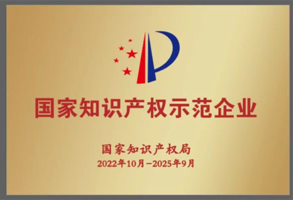 祝賀！集團(tuán)獲評2022年度國家知識產(chǎn)權(quán)示范企業(yè)